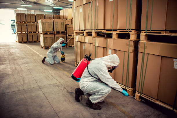 Best Pest Prevention Services  in Valley Springs, CA