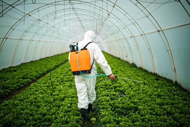 Professional Pest Control in Valley Springs, CA