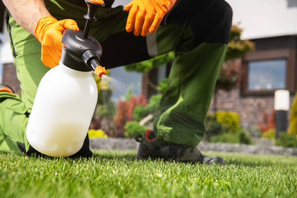 Best Cockroach Control Services  in Valley Springs, CA