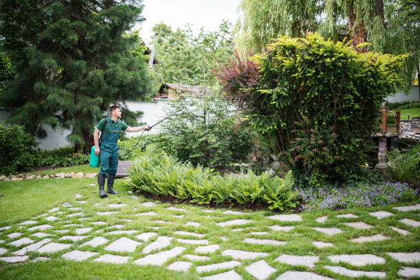 Best Affordable Pest Control Services  in Valley Springs, CA