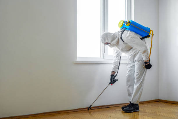 Best Best Pest Control Companies  in Valley Springs, CA