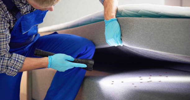 Best Rat Extermination Near Me  in Valley Springs, CA