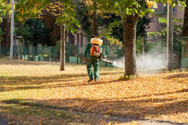 Best Flea Control Services  in Valley Springs, CA