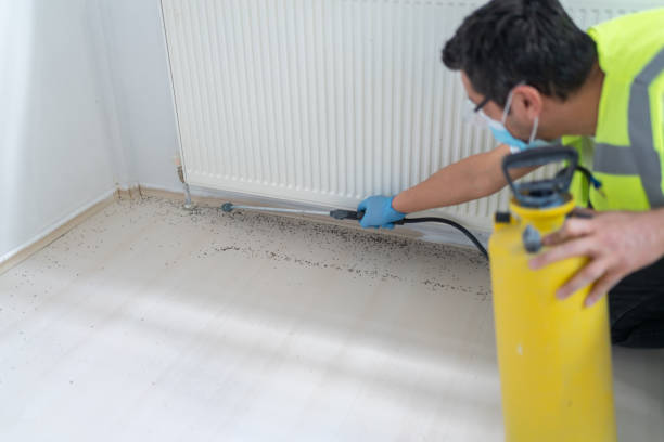 Best Best Pest Control Near Me  in Valley Springs, CA